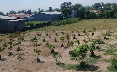 Photos of Kebun Lengkeng Takalar
