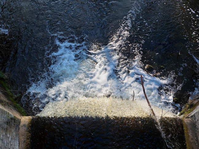 Comentarii opinii despre Rzeka Orla