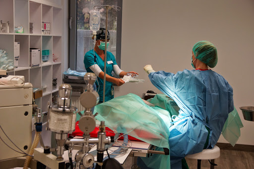Center for Small Animal Medicine Munich Gallery - Germany