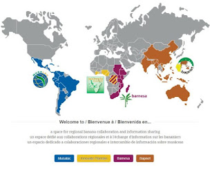 Photo n°14 de Innoa - Sécurité systèmes et réseaux informatiques à Prades-le-Lez (Entreprise de logiciels)
