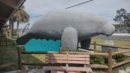 Bubbles the Manatee - Visual
