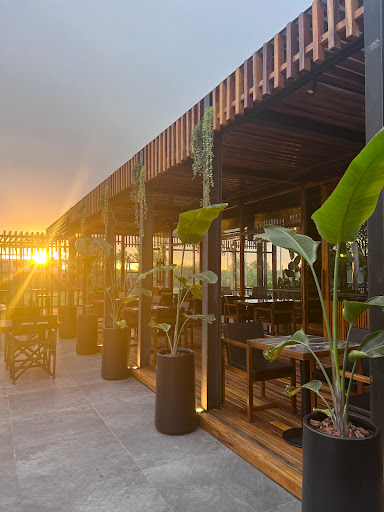 Olinto bar