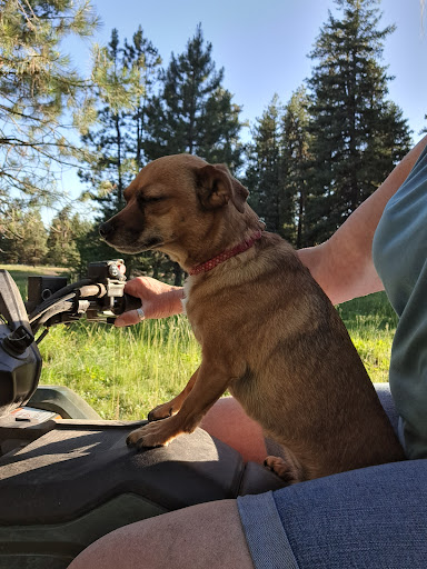 Coyote Campground - Visual