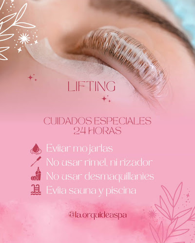 La Orquídea