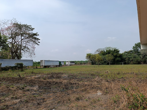 Cbta No 60 - Visual