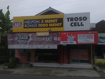 Photos of Troso Cell