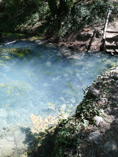 La Solfa - Visual