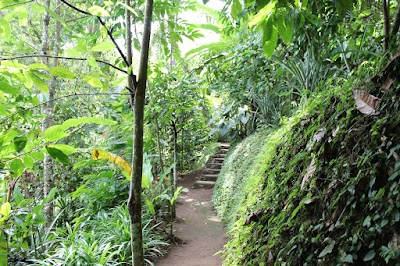 Photos of Teras Agro Wisata Nongan Bali