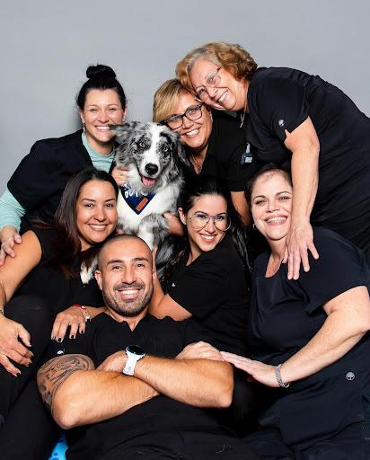 10 Dental Design Studio