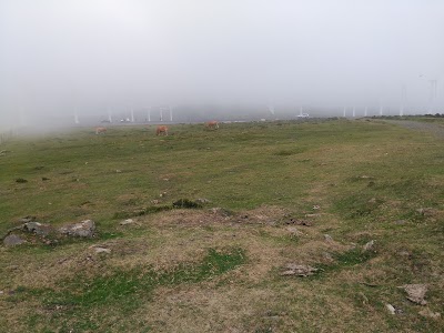 Photos of O Plantio