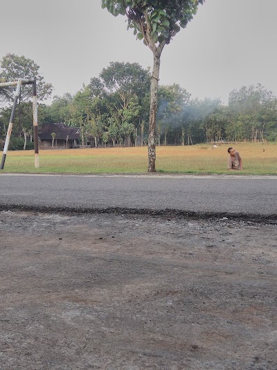 park