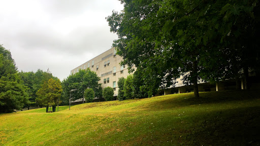 Biblioteca da Facultade de Filoloxía (USC) - Thumbnail