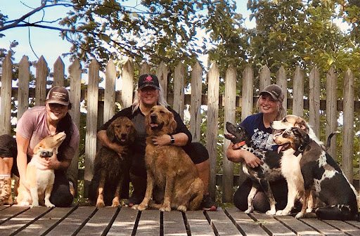 Oskaloosa Small Animal Veterinary Clinic