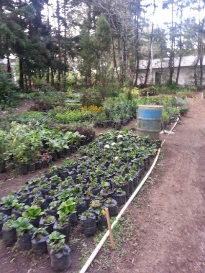 Photos of Vivero Joya de Oro
