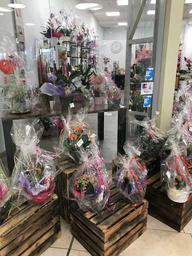 Blumenparadies - Visual