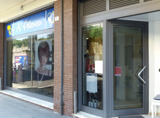 A` Petenea Gallery - Italy