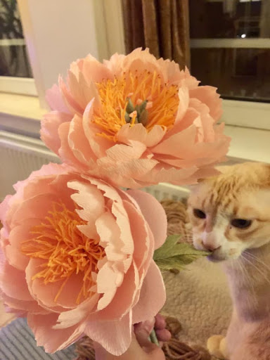 Natty Paper Flowers - Thumbnail