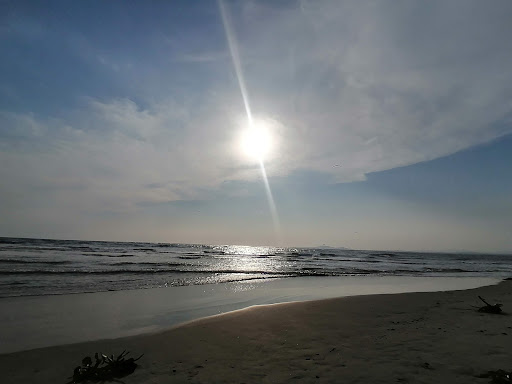 Palapa El Farito - Thumbnail
