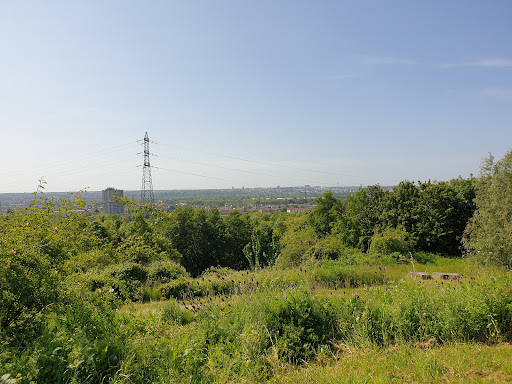 Arboretum du bois de l'étoile