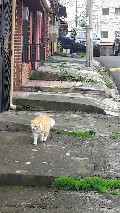 Photos of Urbanizaci&oacute;n san Antonio