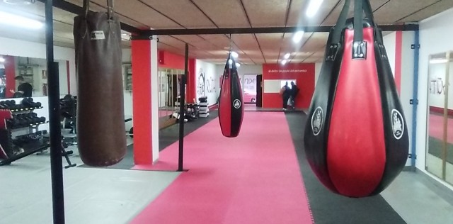 GIMNASIO DE ARTES MARCIALES RYUTAI, Author: jose manuel vila