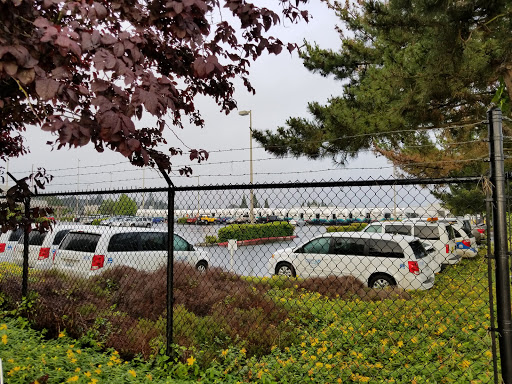Pierce Transit - Visual