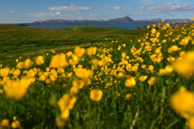 Photos of Sk&uacute;tusta&eth;ag&iacute;gar