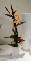 Photo n°23 de Maison Azzopardi 8 à Marseille (Fleuriste)