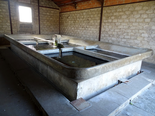 Lavoir du bois d'Oingt Gallery - France