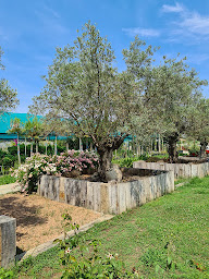 Photo n°2 de Casa di L'Ortu à Lucciana (Paysagiste)