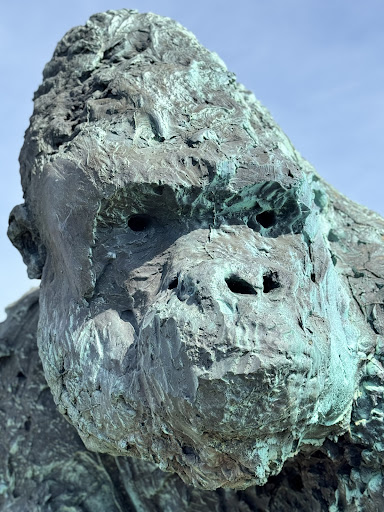Gorilla, Spiaggia della Feniglia - Thumbnail