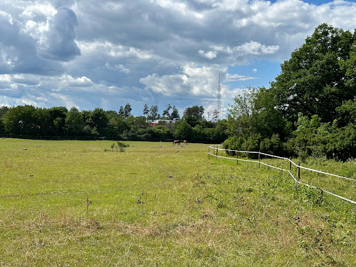 Stubben, Jakobsbergs Scoutkår