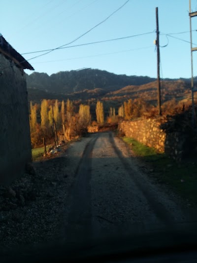 Dallarca Koyu Mosque