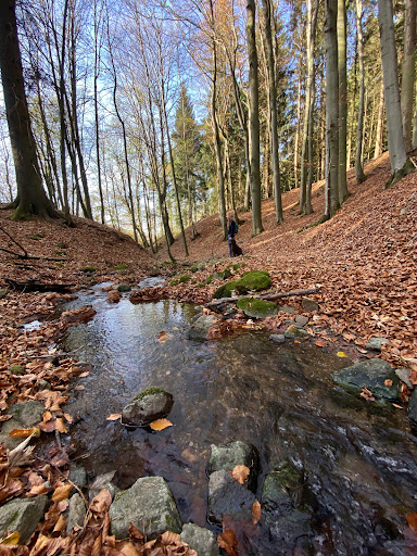 Lütterquelle - Visual