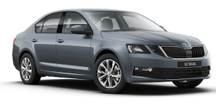 Photo n°22 de Škoda Saint-Lô - VIKINGS AUTO à Saint-Lô (Concessionnaire Skoda)