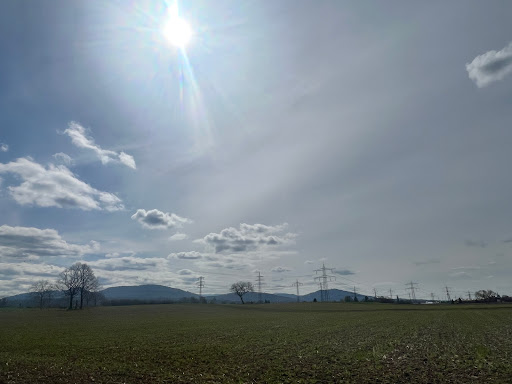 Hochzeitswiese Niederbühl