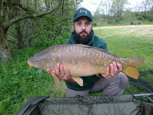 STAGG BAITS - Thumbnail