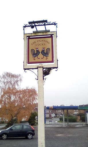 Fighting Cocks - Visual