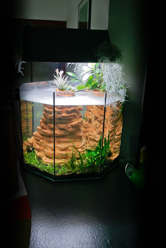 Photo de EAS Paysages Aquatiques à Cusy (74540)