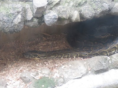 Photos of Nairobi Snake Park