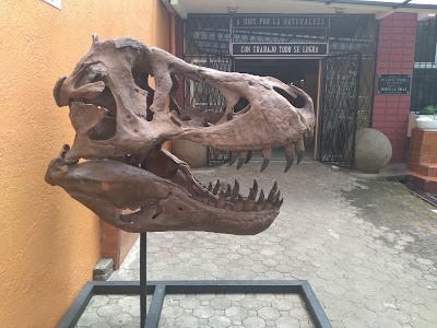 Photos of Natural Science Museum La Salle