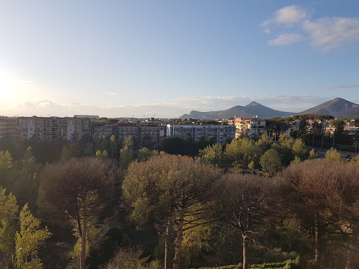 Tagliaferri Avv. Rosa - Italy