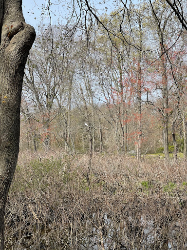 Louis C. Clark Sanctuary - Thumbnail