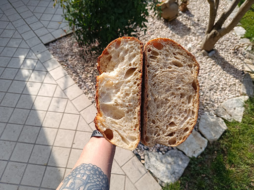 Tocio di Giulia Busato - Thumbnail
