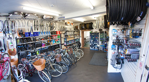 Cam Cycles - Visual