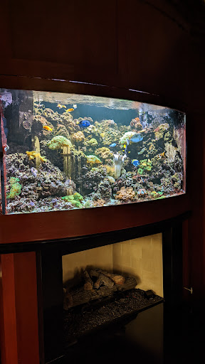 Fish Whisper - Visual