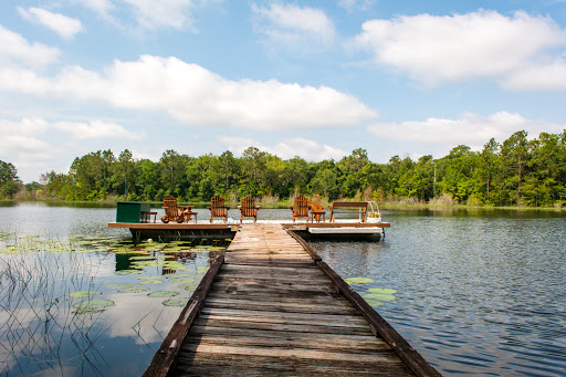 Camp Declan - Thumbnail