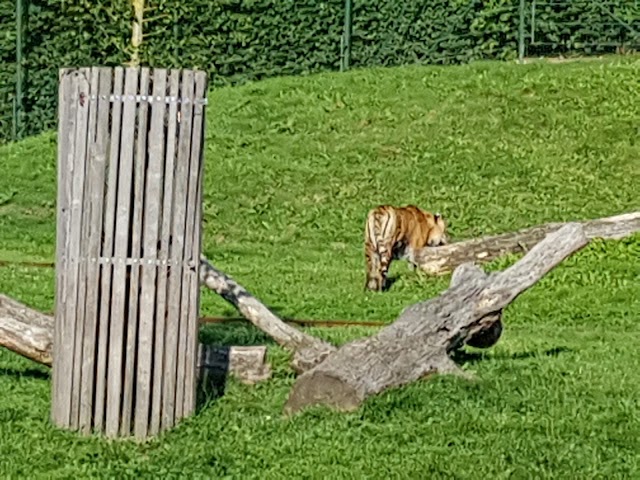 Bellewaerde Park