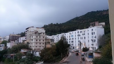 Photos of Arr&ecirc;t Terminus ligne Cit&eacute; Mangin