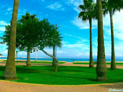 Photos of Corniche Gardens
